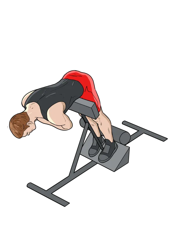 Упражнение Гиперэкстензия: вид со стороны во время выполнения