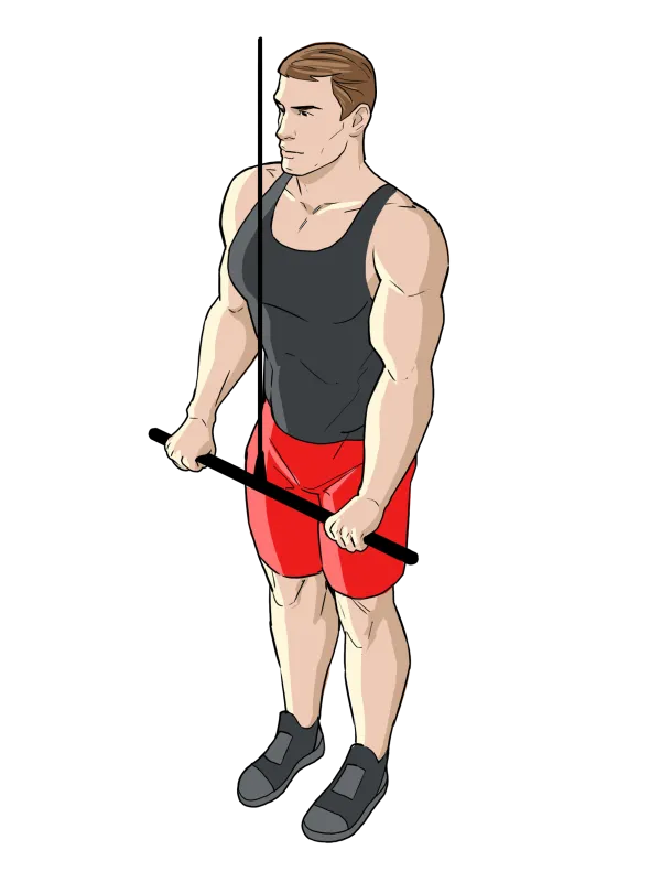 Упражнение Трицепсовый жим в кроссовере: вид со стороны во время выполнения